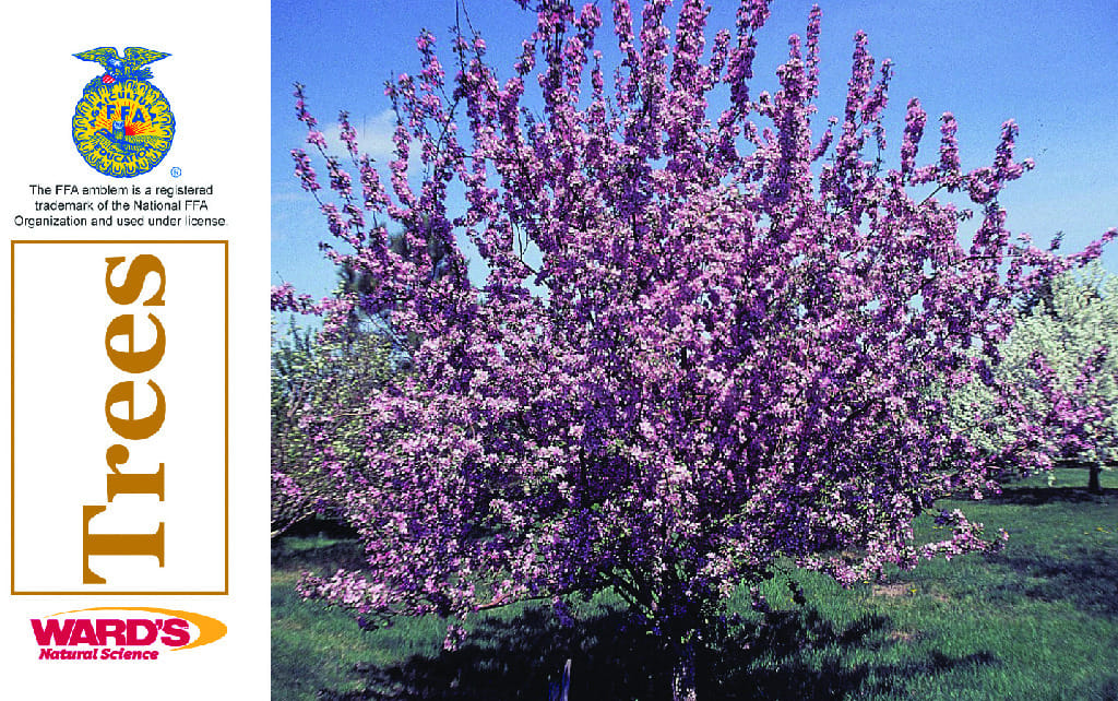 Ward's® Agricultural Science Flash Cards
