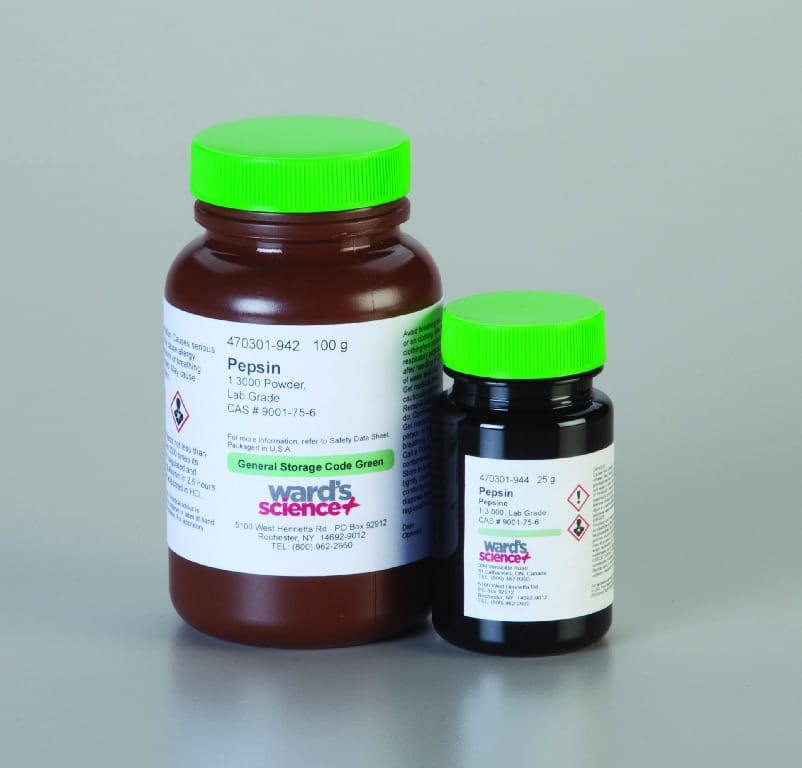 Pepsin