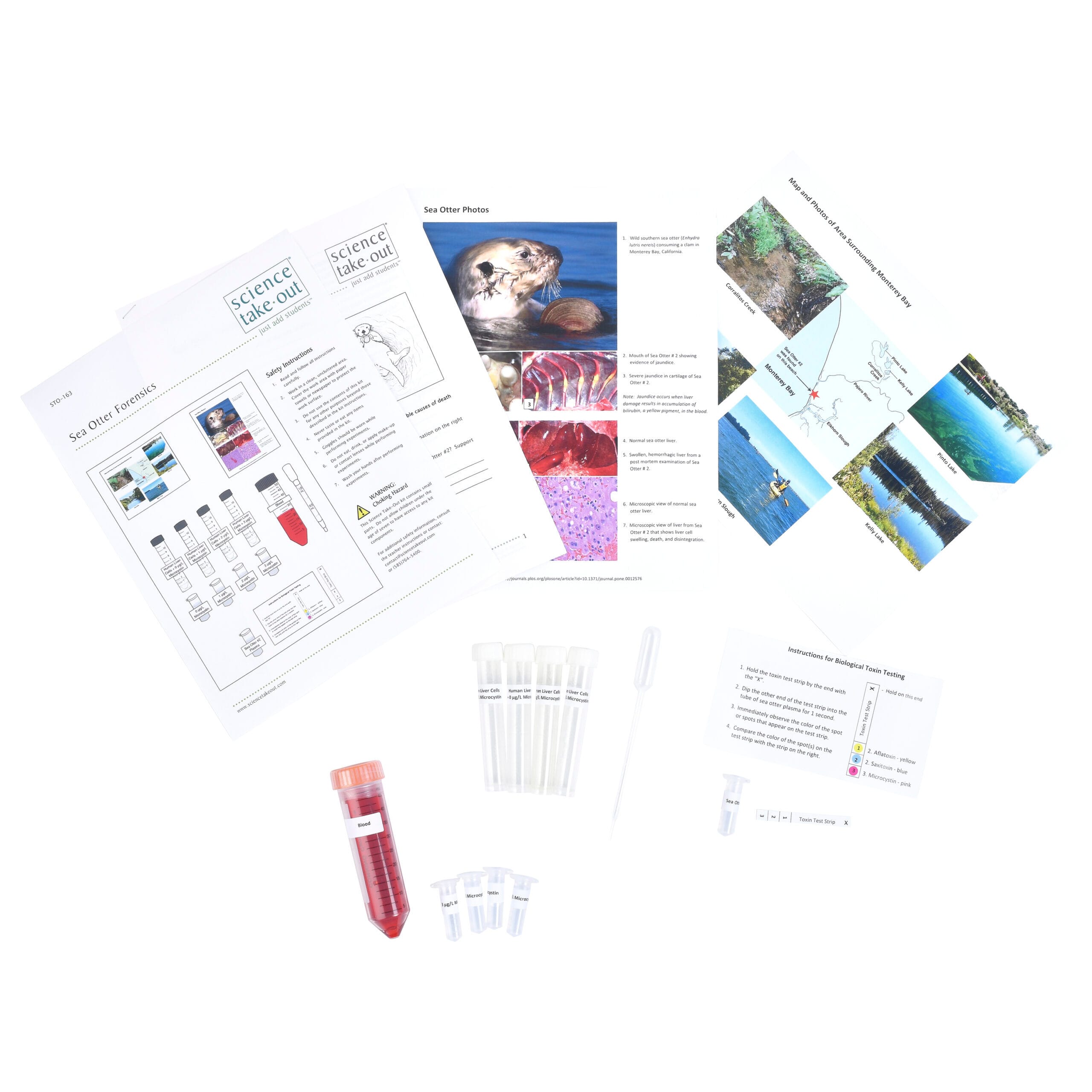 Science Take-Out® Sea Otter Forensics