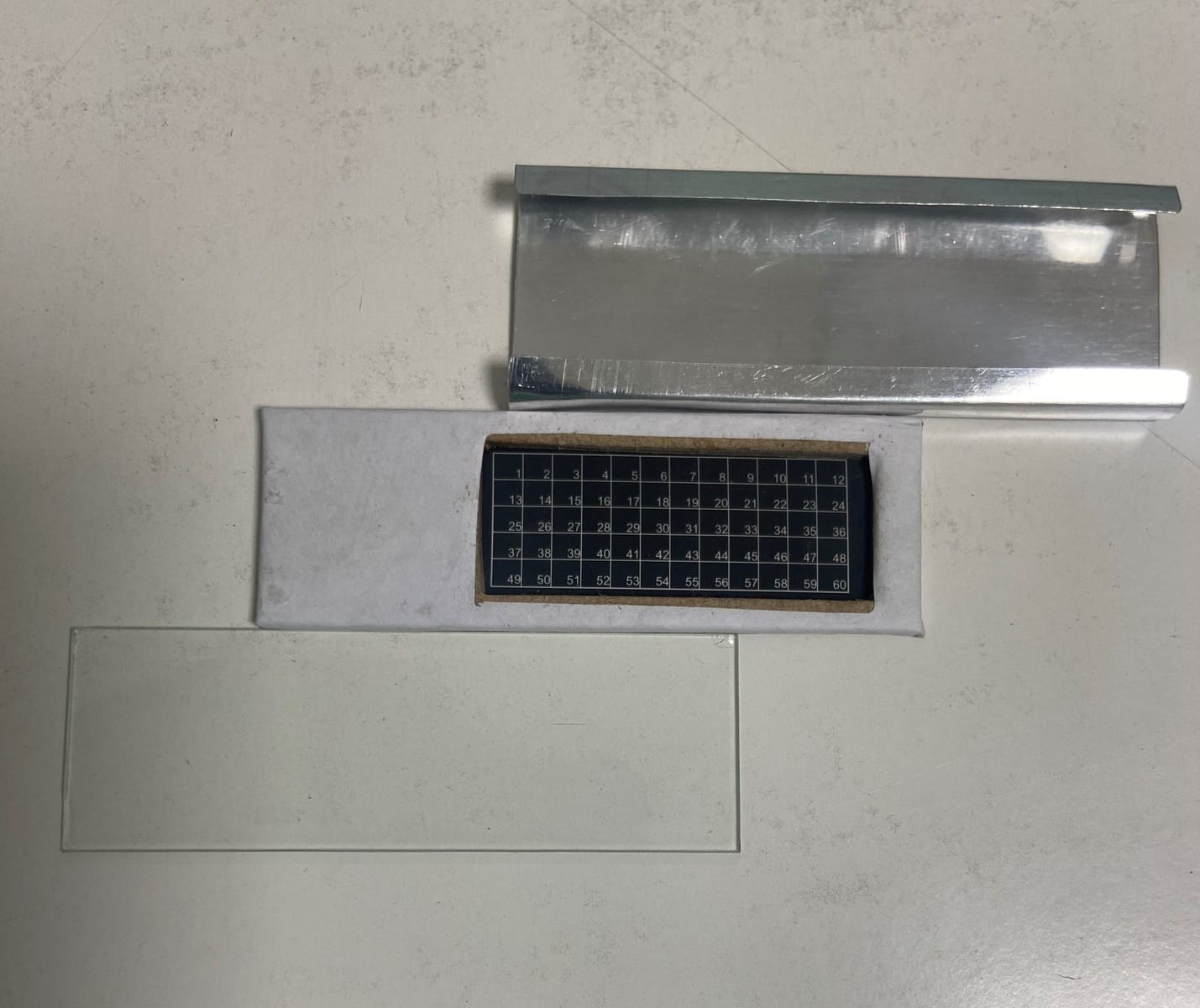Ward's® Microfossil Slides