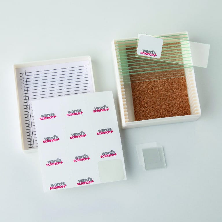 Student Pack Glass Slides and Cover Glasses