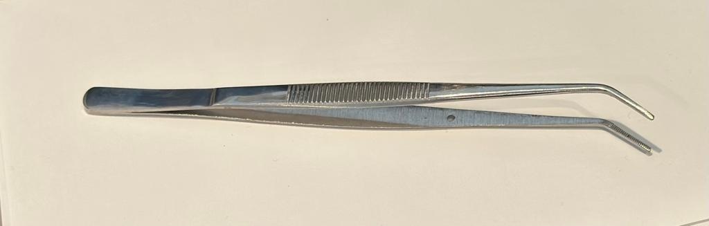 Serrated Forceps