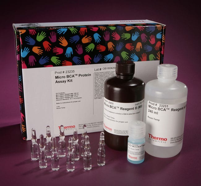 Pierce™ Micro BCA™ Protein Assay Kit and Reagents, Thermo