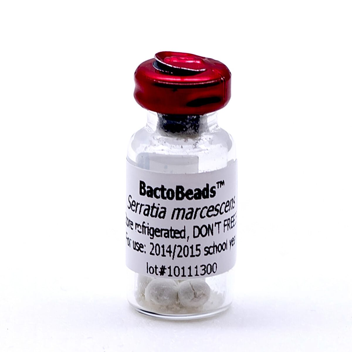 Edvotek BactoBeads™ Lyophilized Bacteria