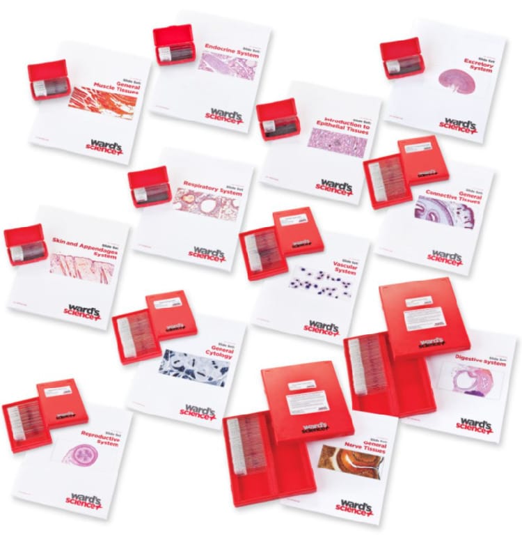 Comprehensive Histology Slide Set