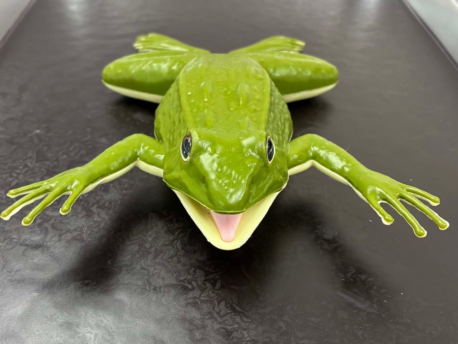 Ward’s® SiliClone Frog