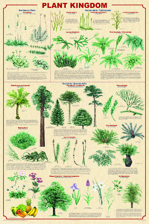 Content-Intensive Info Posters