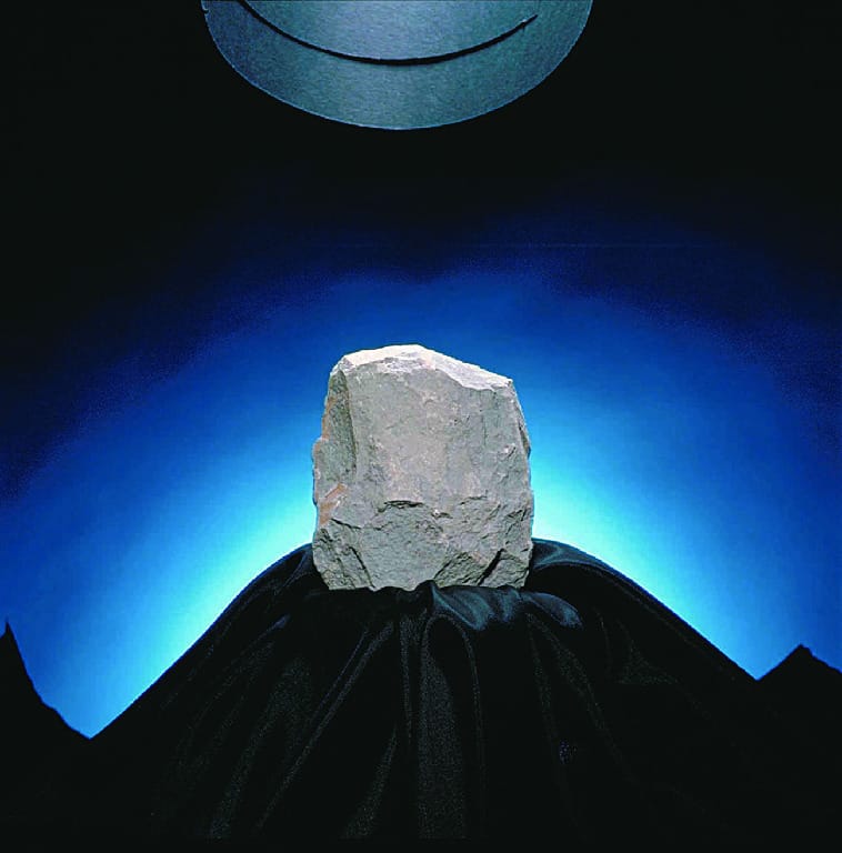 Ward's® Siltstone