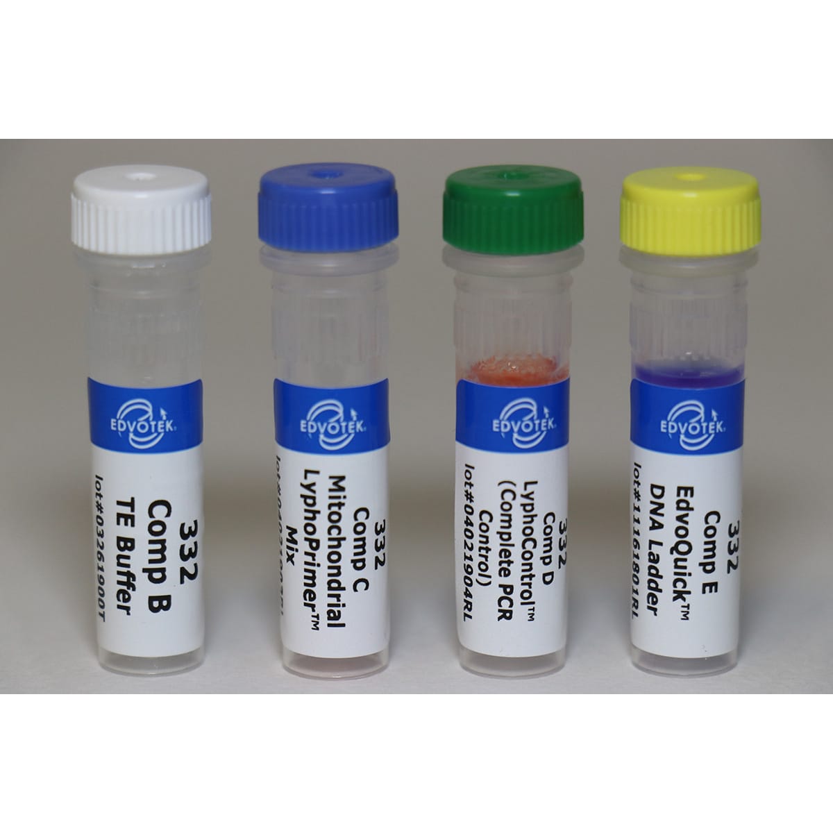 Mother of All Experiments: Exploring Human Origins by PCR of Mitochondrial DNA