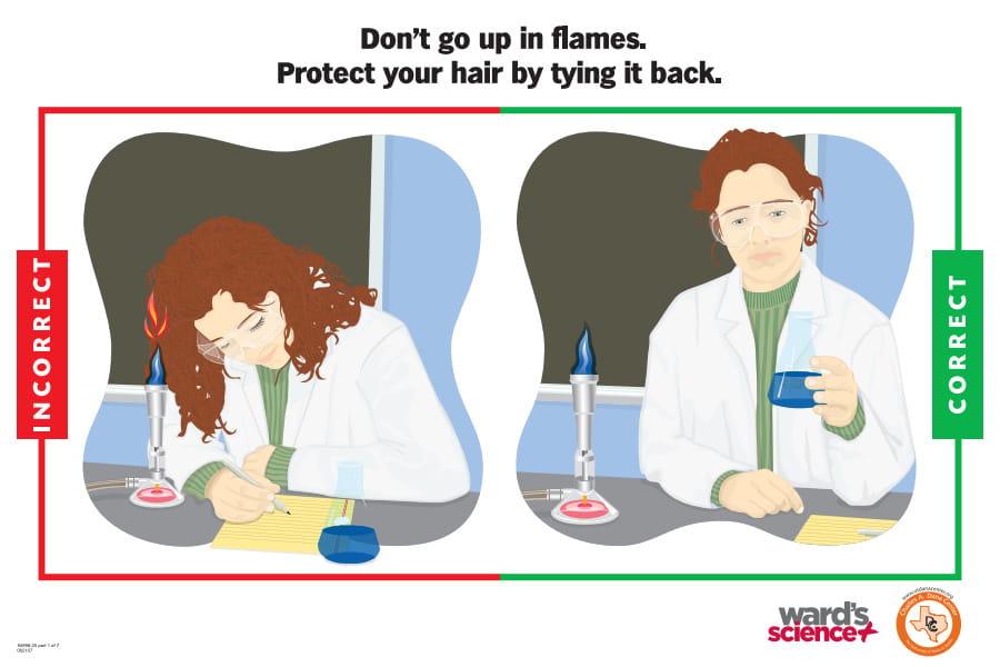 Ward's® Laboratory Safety Poster Set