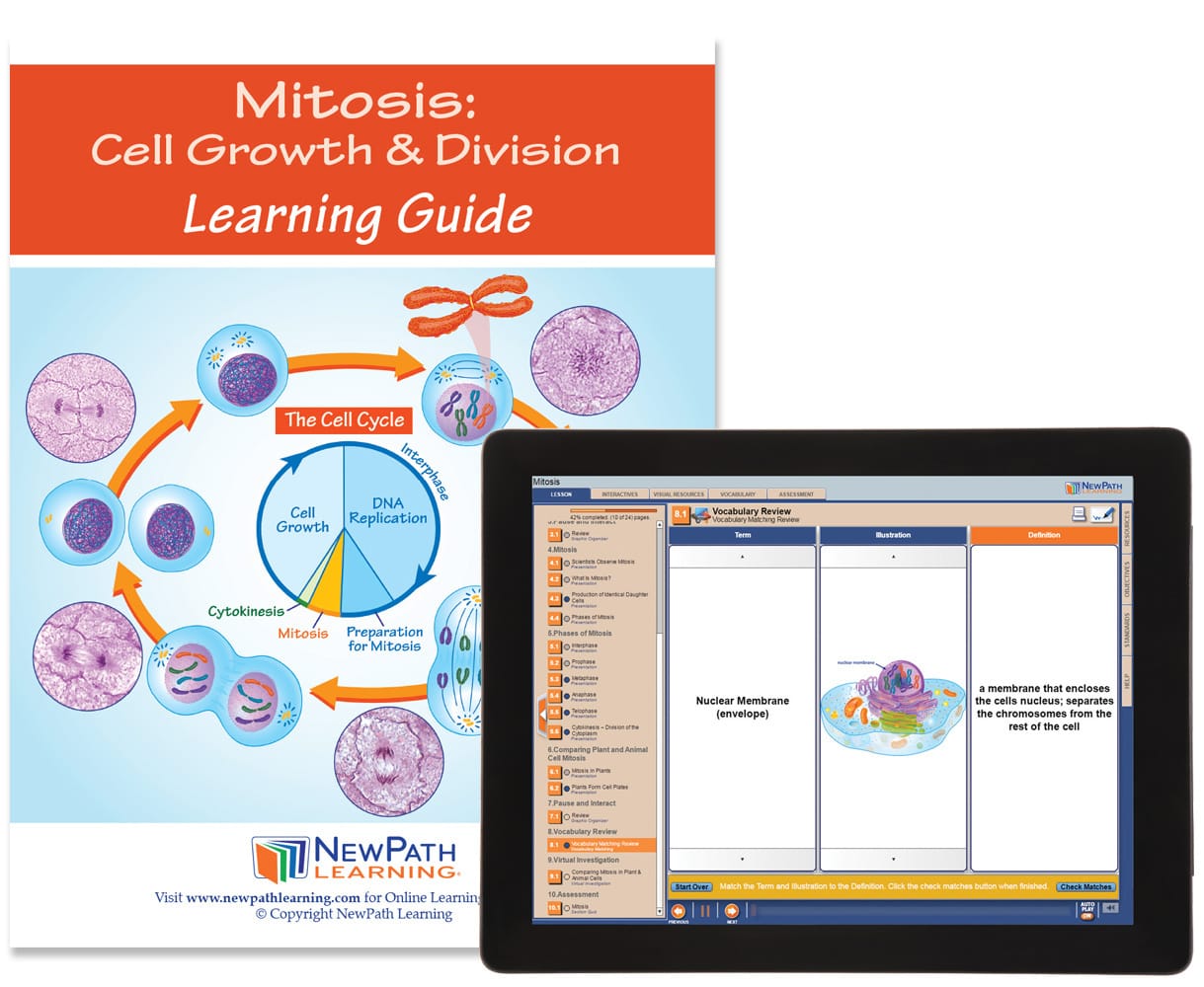 NewPath® Study Guides with Online Lesson
