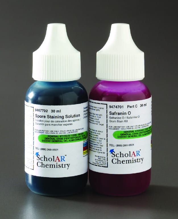 Ward's® Chemistry Endospore Stain Kit
