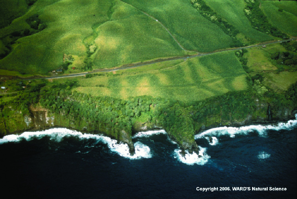 Ward's® Geology Image Library CD-ROMs