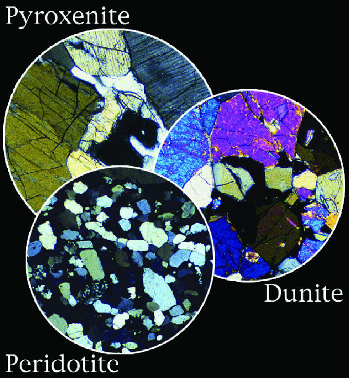 Ward's® Ultramafic Rocks Thin Sections Set