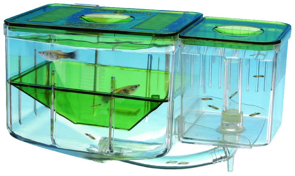 Aqua-Nursery