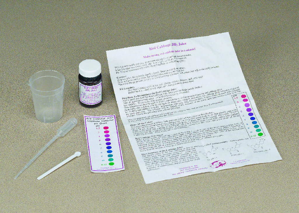 Red Cabbage Jiffy Juice