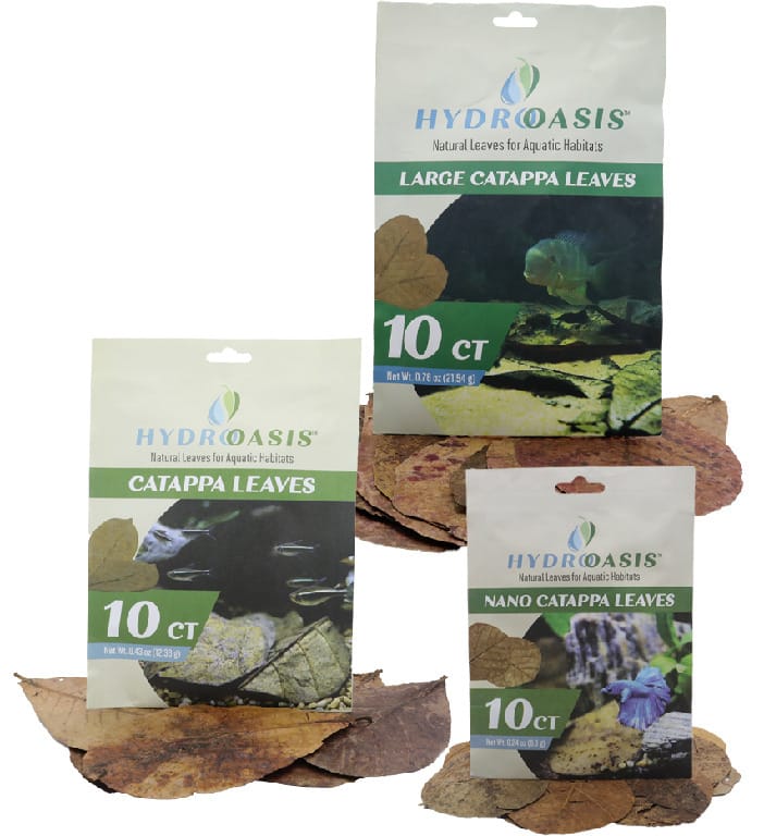 HydrOasis Catappa Leaves