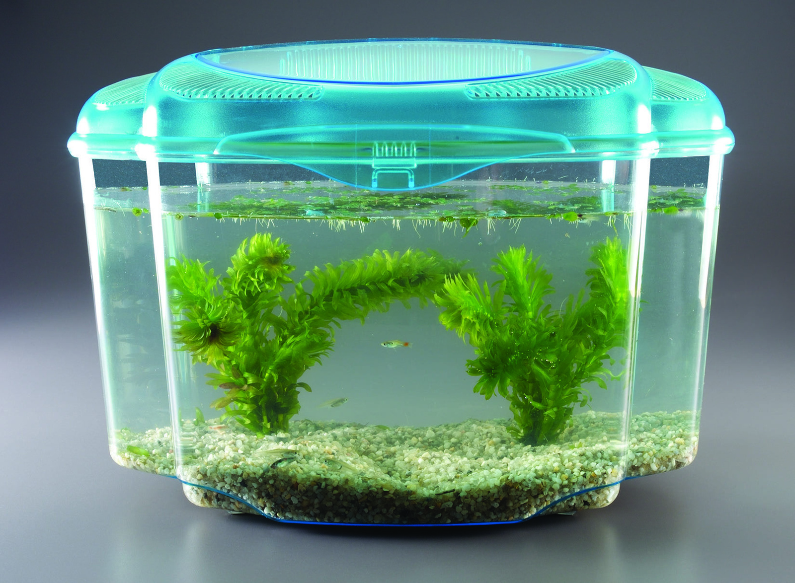 Ward's® Fish and plant habitat set