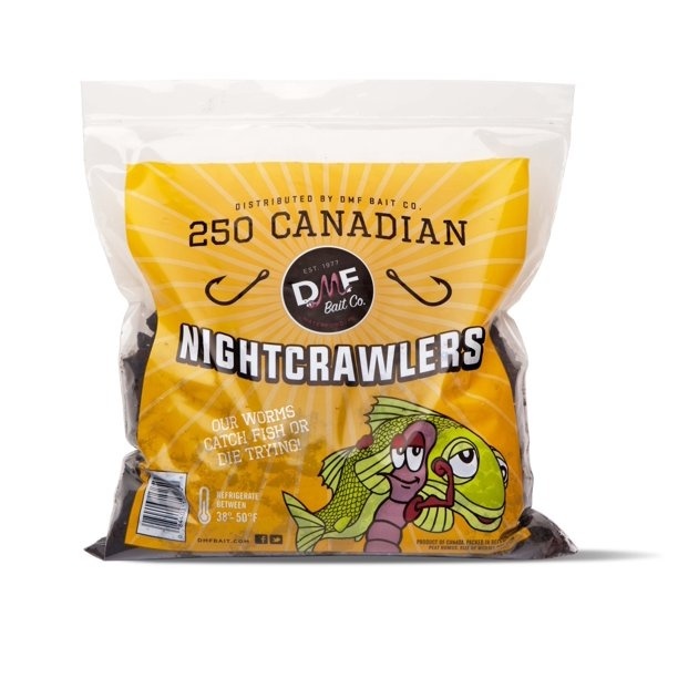 Ward's® Live Earthworms (Lumbriculus terrestris)