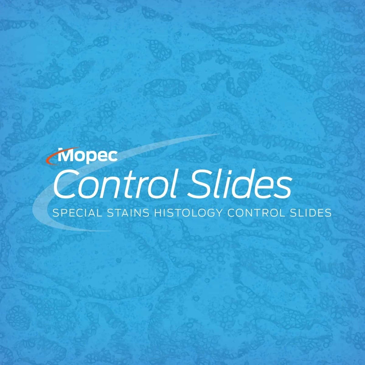 Control Slides, Special Stains, Acid Fast Bacteria | VWR, part of Avantor