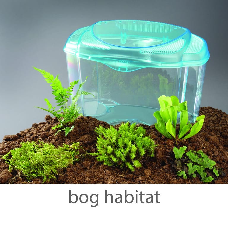 Wards® Mini-Habitat Terrarium Sets