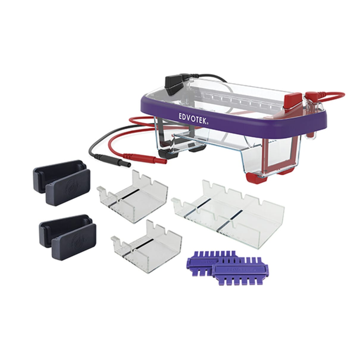 M12 Complete™ Electrophoresis Package