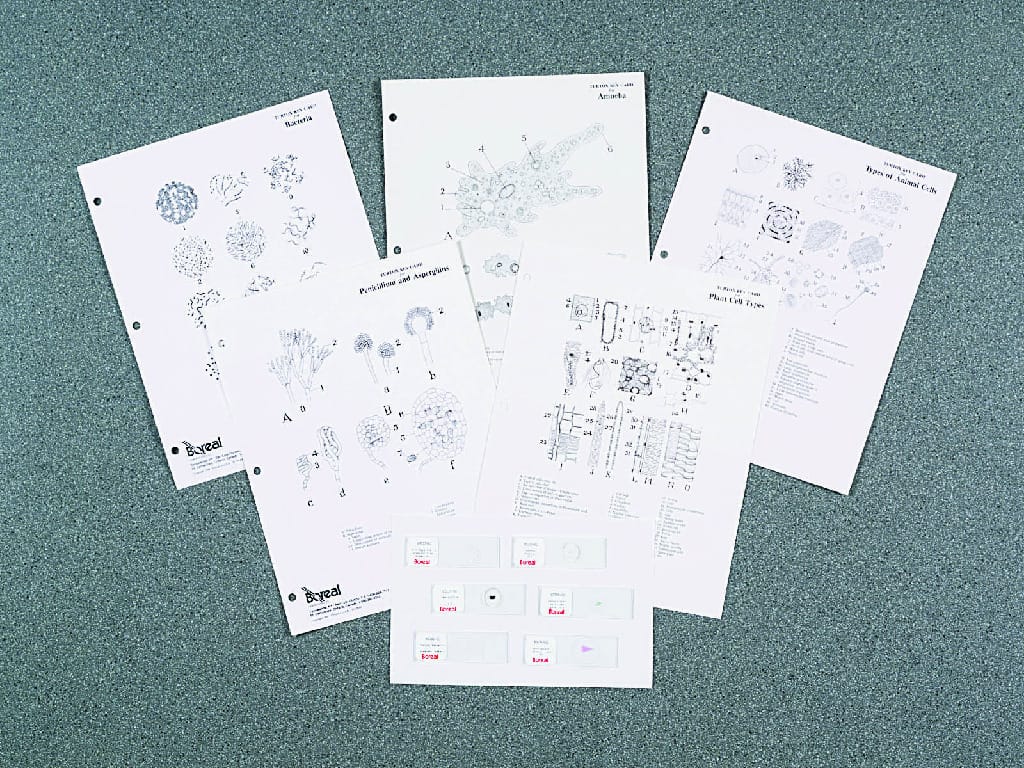 A Survey of the Kingdoms of Life - Prepared Slides and Turtox Quiz Masters