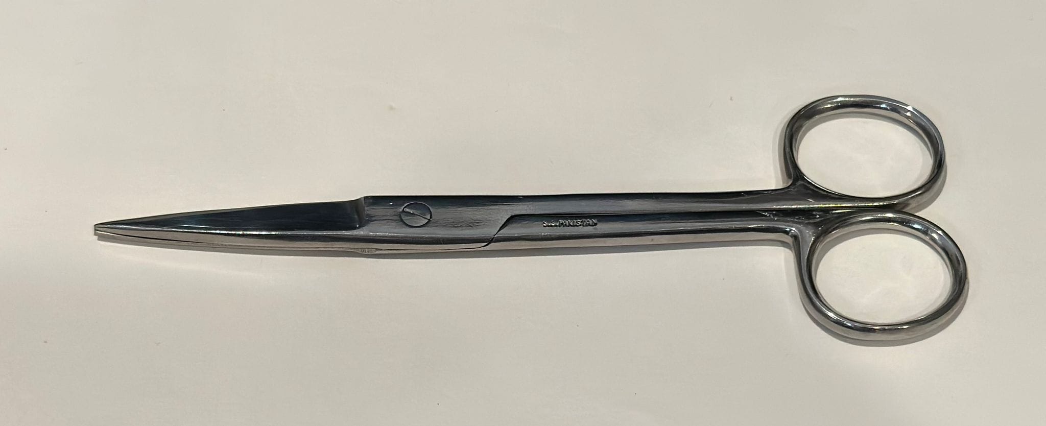 Surgical Style Scissors