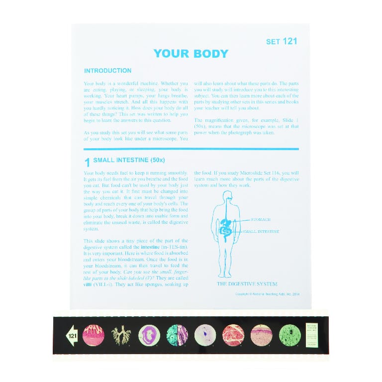 Your Body Microslide