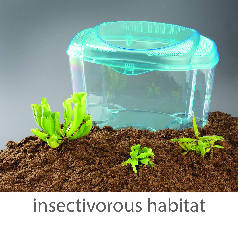 Wards® Mini-Habitat Terrarium Sets
