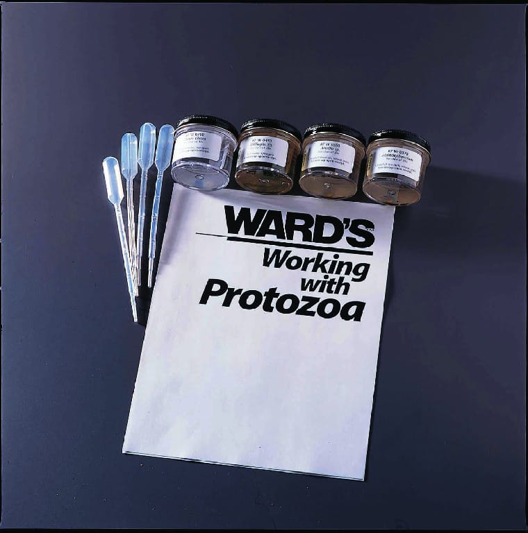 Ward's® Live Ameoboid Set