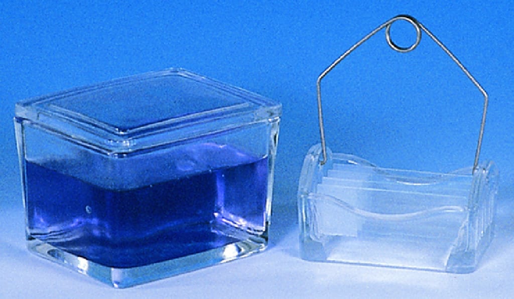 Wheaton Rectangular Staining Dish with Glass Cover