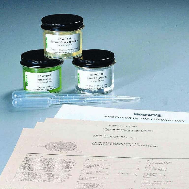 Ward's® Live Protist Sets