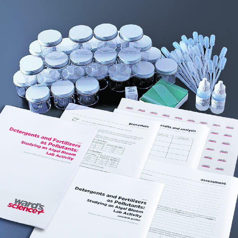 Detergents and Fertilizers as Pollutants: Studying an Algal Bloom Lab Activity