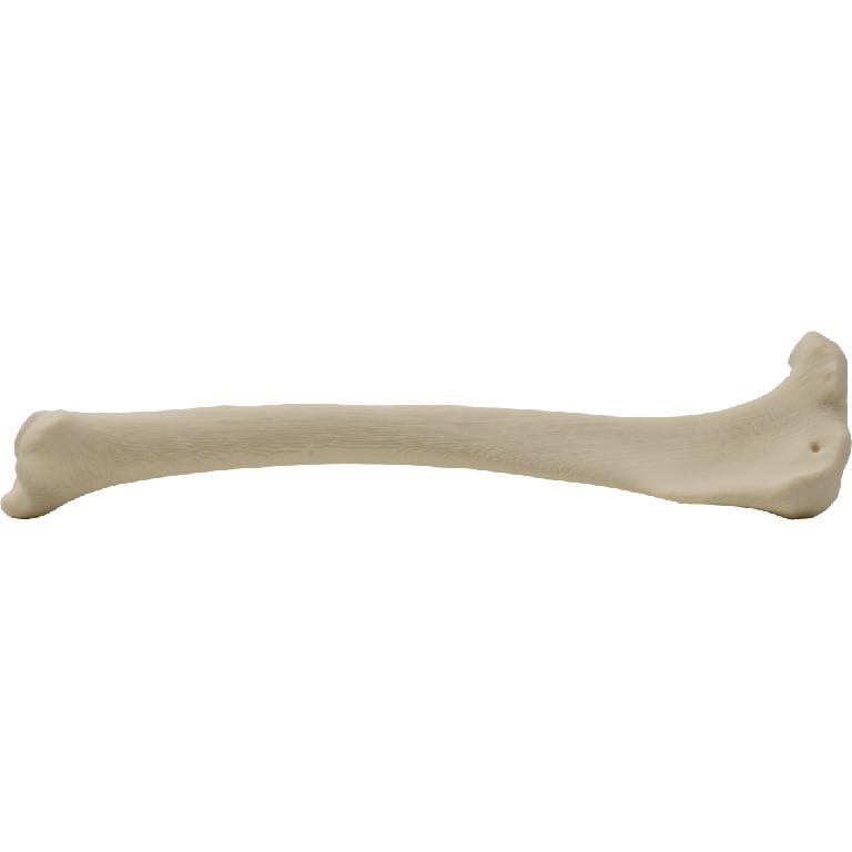 Med Dimensions® Vet Bones, Canine