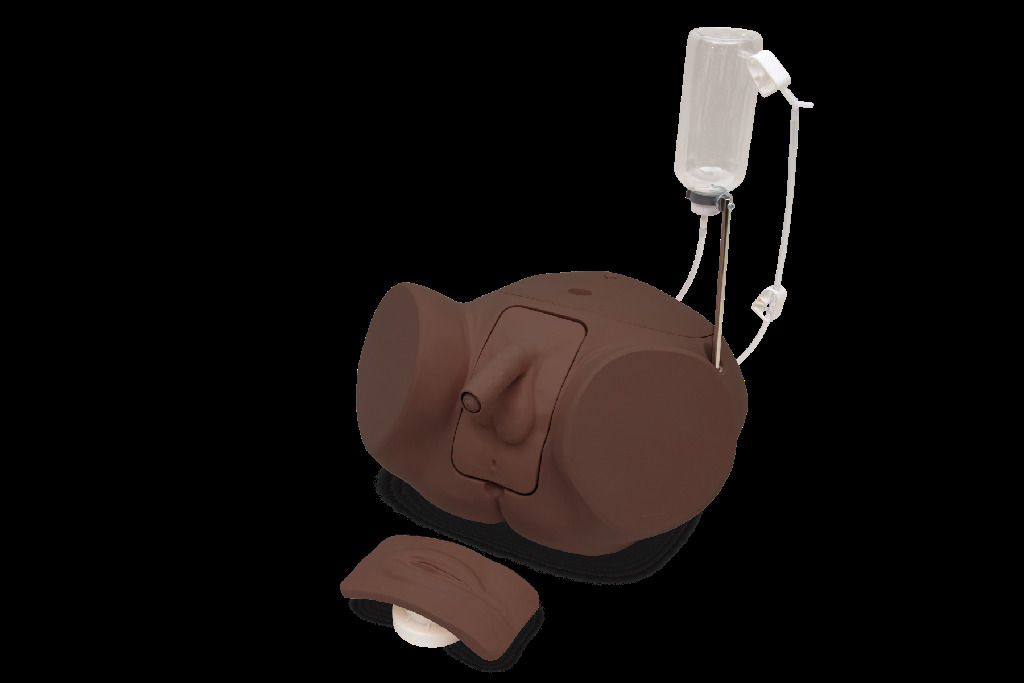 3B Scientific® Catheterization Trainers