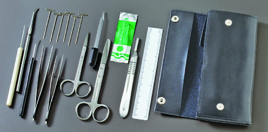 Ward's® BSCS Dissecting Set