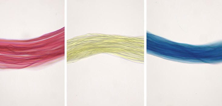 Ward's® Fiber and Hair Comparison Slides