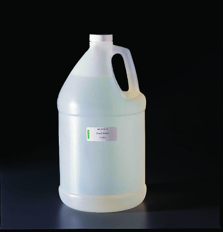 Laboratory Tank Starter Innocula