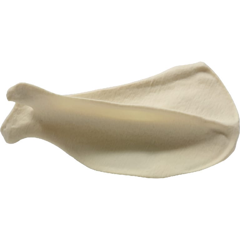 Med Dimensions® Vet Bones, Canine