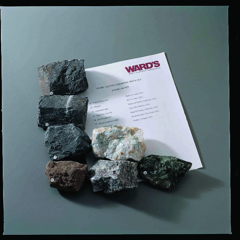 Ward's® Metamorphic Petro-Lab Set