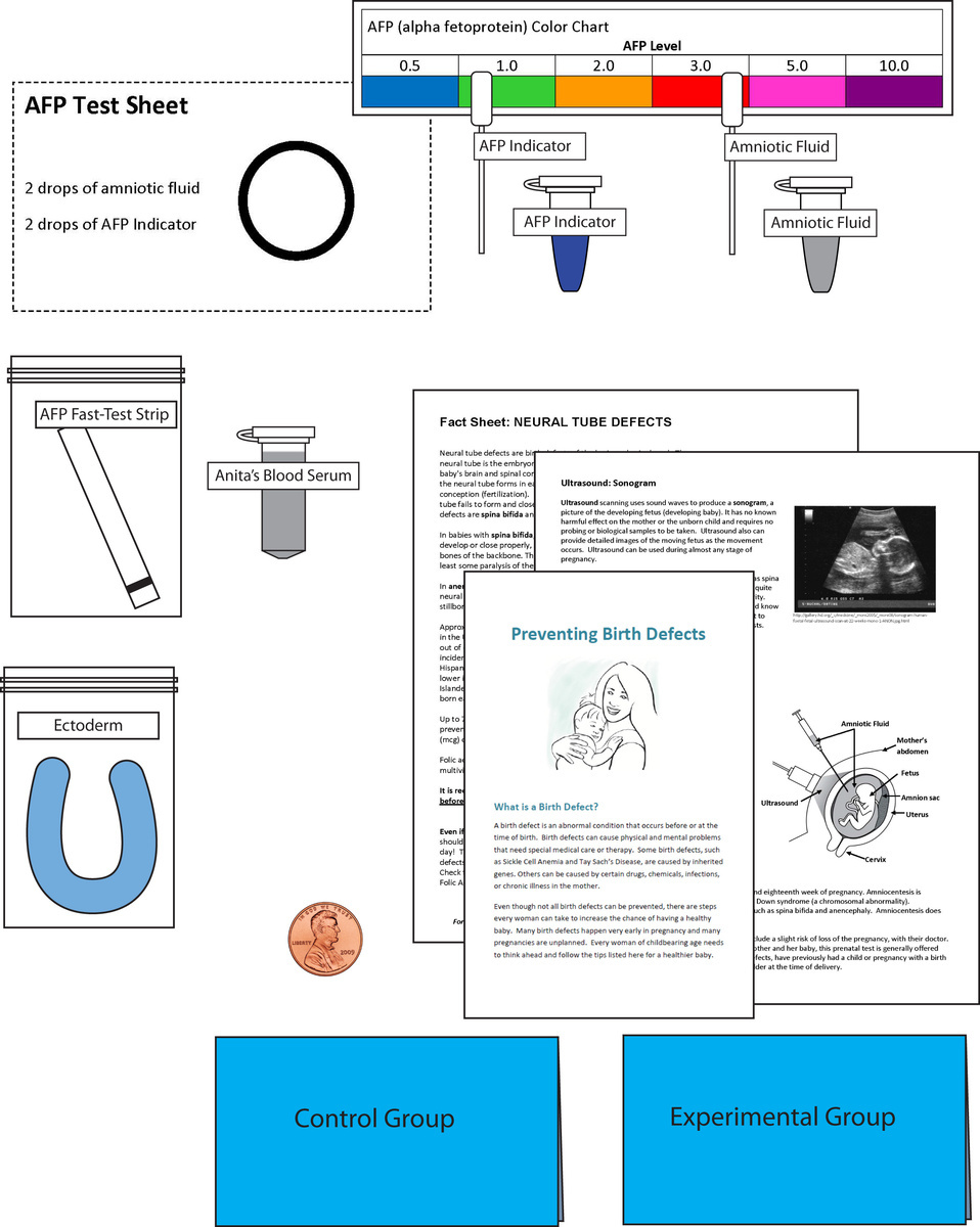 Science Take-Out® Birth Defects And Folic Acid