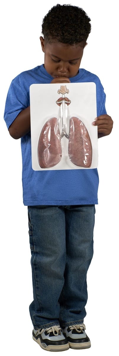 Big Breath Respiratory Kit