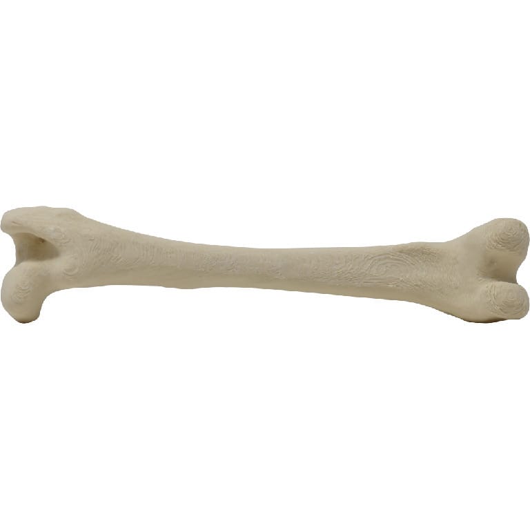 Med Dimensions® Vet Bones, Canine