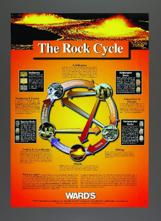 WARD’S Rock Cycle Poster