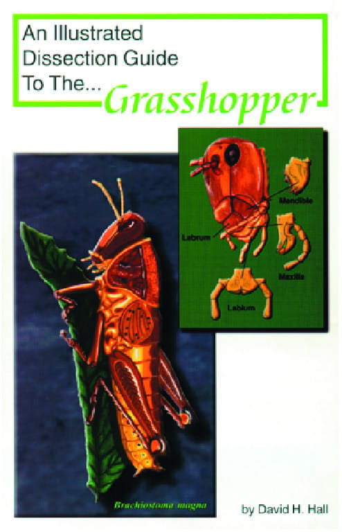 Illustrated Dissection Guides