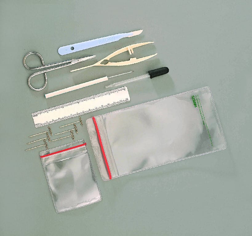Ward's® Economy Dissecting Set