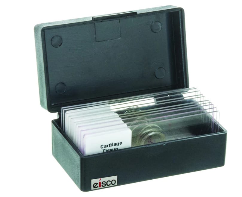 Slide Box, Polystyrene, 10 Slides
