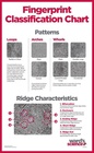 Ward's® Fingerprint Classification Chart