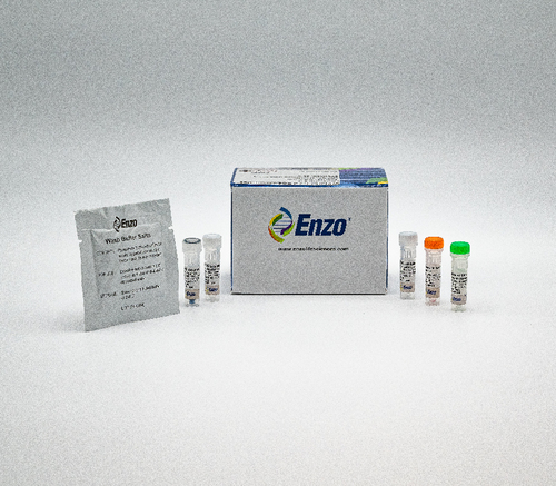 Total Ros/Superoxide Detection Kit For Microscopy And Flow Cytometry 1 Kit